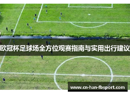 欧冠杯足球场全方位观赛指南与实用出行建议